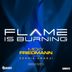 Cover art for Flame Is Burning