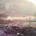 Cover art for "Audiodact — Salvation (Original mix)"