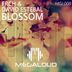 Cover art for "FRCH, David Estebal — Blossom"