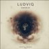 Cover art for "Ludviq — Disease (Poulper Remix)"