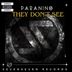 Cover art for "Paranino — They Don't See (Extended)"