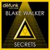 Cover art for "Blake Walker — Secrets"