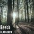 Cover art for "BLACKCROW — Beech"