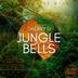 Cover art for "Thierry D — Jungle Bells"