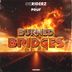 Cover art for Burned Bridges
