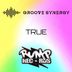 Cover art for "Groove Synergy — True"