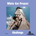 Cover art for "White Cat Project — Challenge (original mix)"