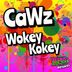 Cover art for Wokey Kokey