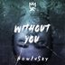 Cover art for "NowInSky — Without You (Extended Mix)"