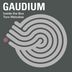 Cover art for "Gaudium — Inside the Box (Original Mix)"