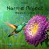 Cover art for "Norma Project — Magical Land (Original Mix) (Cosmic Light, Dekin)"