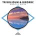 Cover art for "Trisolidum, BirdRBC — World Is Water"