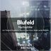 Cover art for "Blufeld — Nyctophilia (Serge Landar Remix)"