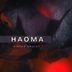 Cover art for "Haoma — Hidden Amulet (Original Mix)"