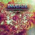 Cover art for "Inverze, Lante — Multidimensional World"