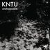 Cover art for "Kntu — Texu"