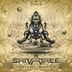 Cover art for "Shivatree — Digital Space (Original Mix)"