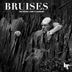 Cover art for "Bruises — Grey Matter"