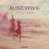 Cover art for "Mindwave — Spectrum (Original Mix)"