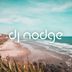 Cover art for "DJ Nodge — Promise"