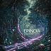 Cover art for "Epinoia (CA) — Forward into the Past (Original Mix)"