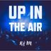 Cover art for "Râ-im — Up In The Air (Extended)"