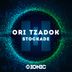 Cover art for "Ori Tzadok — Stockade"