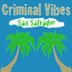 Cover art for "Criminal Vibes — San Salvador (Original Mix)"