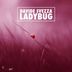 Cover art for "Davide Svezza — Ladybug (Original Mix)"