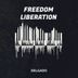 Cover art for Freedom Liberation