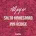 Cover art for "Salta Kirkegaard, Aya — Alt jeg er"