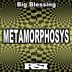 Cover art for "Big Blessing — Metamorphosis (Nu Ground Foundation Underground Trance Mix)"