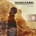 Cover art for "Shadi Kario — Lost"