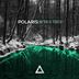 Cover art for "Polaris (FR) — Emerald Forest (Original Mix)"