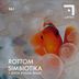 Cover art for "Rottom — Simbiotika"