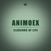 Cover art for "AnimoEx — Illusions of Life (Original Mix)"