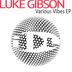 Cover art for "Luke Gibson — Feel The Light"