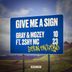 Cover art for Give Me A Sign feat. 2Shy MC