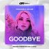 Cover art for "MosAngels, Natune — Goodbye (DJ Zhuk Remix)"