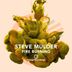 Cover art for "Steve Mulder — Fire Burning (Original Mix)"