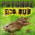 Cover art for "Psychoz — Next to You"