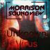 Cover art for "Morrison-Sound View — Unknown Virus (Original Mix)"