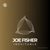 Cover art for "Joe Fisher — Moon (Extended Mix)"