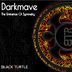 Cover art for "Darkmave — The Eminence of Symmetry"