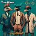 Cover art for "Trisolidum — Birds"