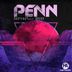 Cover art for "Penn — Dubplate Sound"