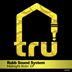 Cover art for "Rubb Sound System — Out For Love feat. Alina"