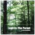 Cover art for "Leigh J.Kitchen — Lost in the Forest"