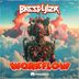 Cover art for "Basstyler — Workflow"