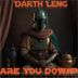 Cover art for "Darth Leng — Are You Down?"